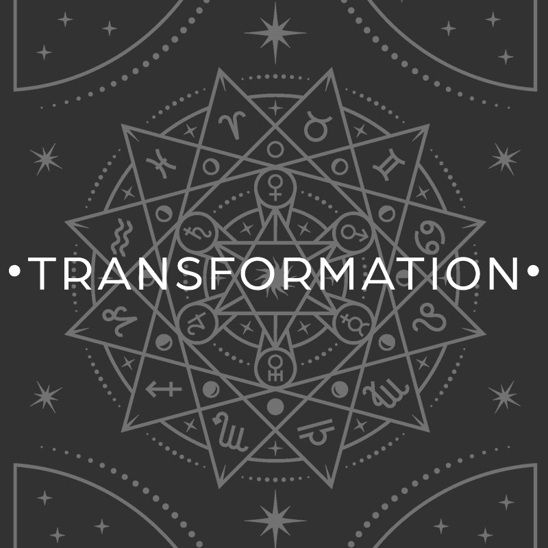 TRANSFORMATION Membership - Monthly